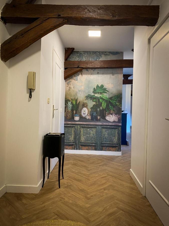 Le Kt-Dral - Appartement Hypercentre 부르주 외부 사진