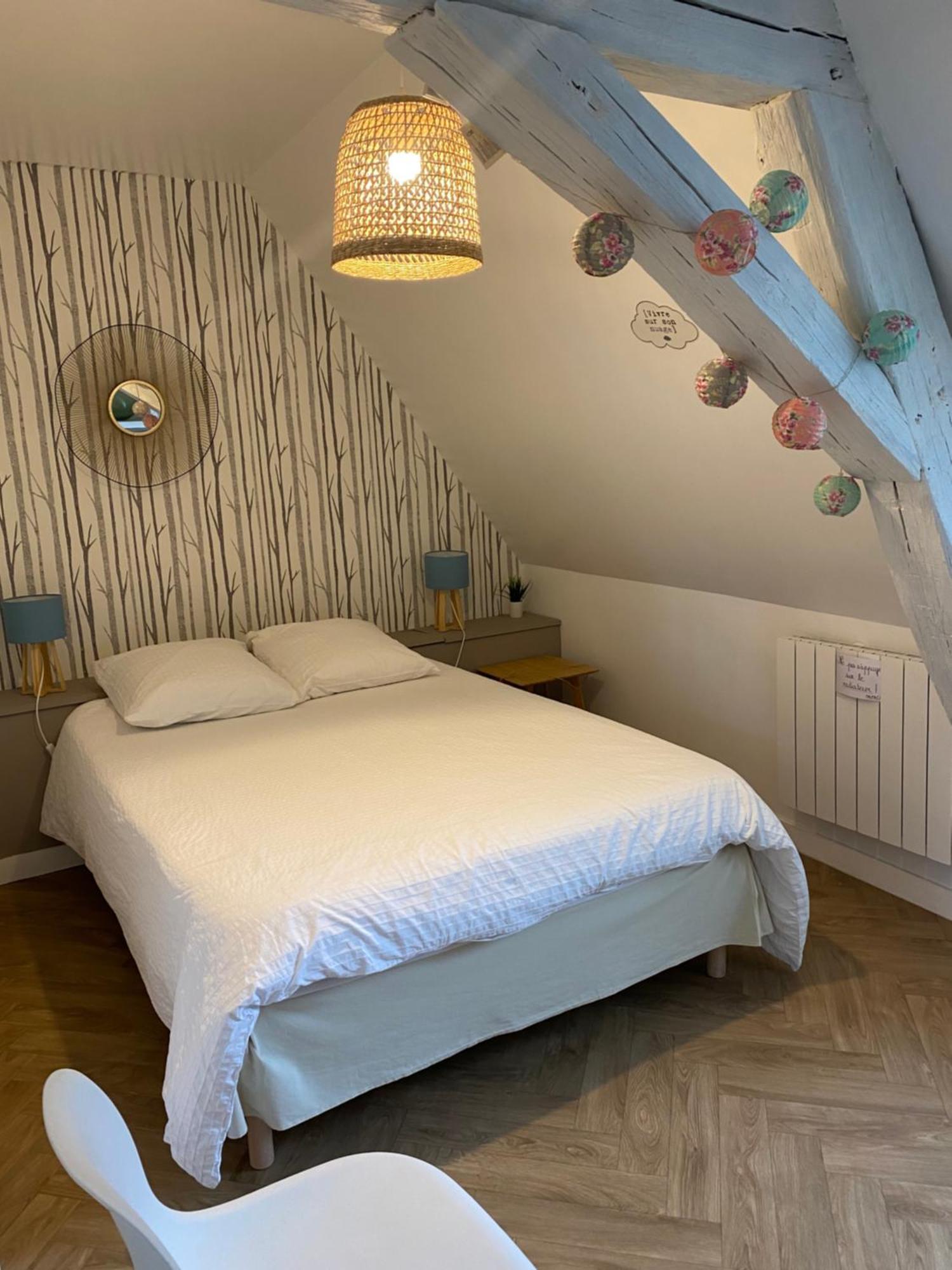 Le Kt-Dral - Appartement Hypercentre 부르주 외부 사진